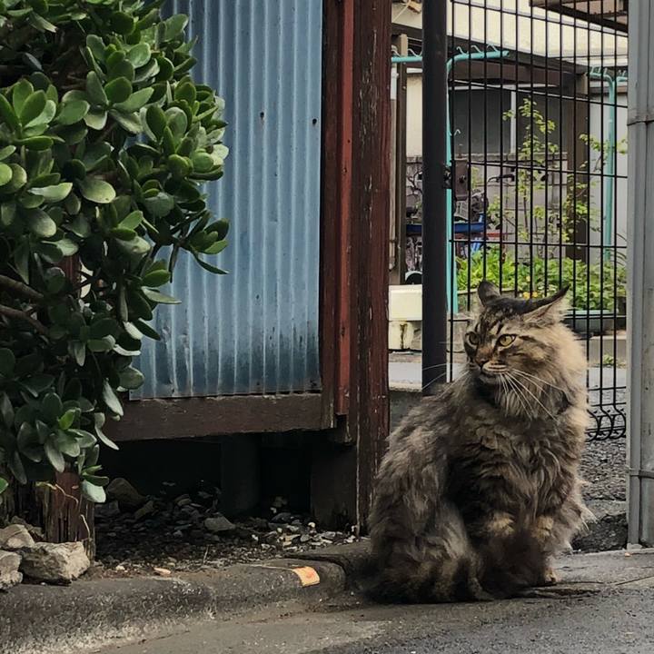 2d86f599 d396 48aa b6f7 6601d08e1f83 1529318005166