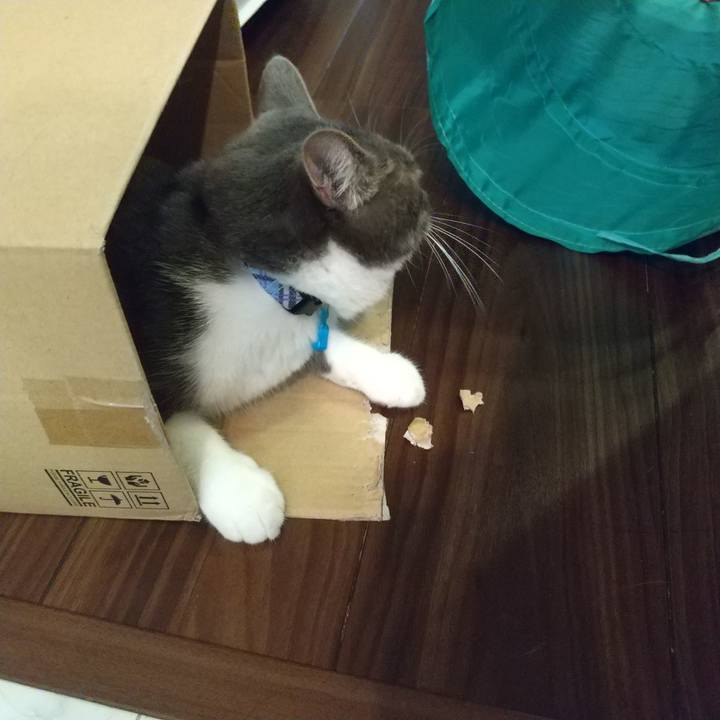 2d870524 bc1f 494d bcf6 71b756940e95 1601853044374