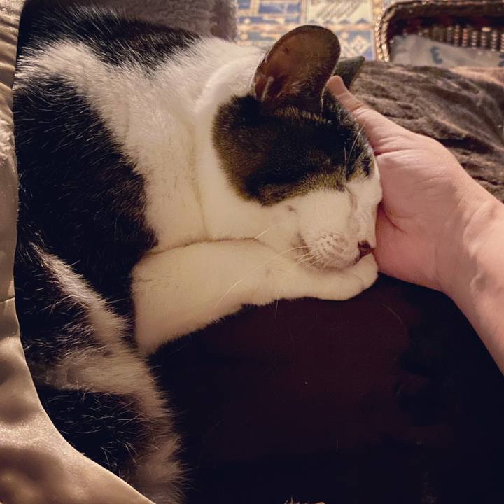 2d871da7 7fd8 4ecd 90b5 24355243aed8 1622380019599