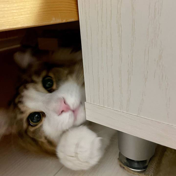 2d872eda 90db 4d09 973d d75140b24664 1669578828010