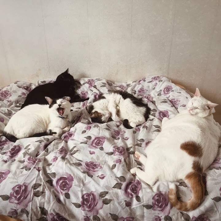 2d874a20 4c4d 4bea 937f 261743f784f5 1631195979716