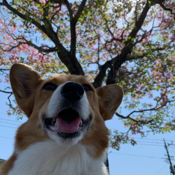 2d876483 bd86 4a3b 8fcd 454ca830f0f6 1618887625800