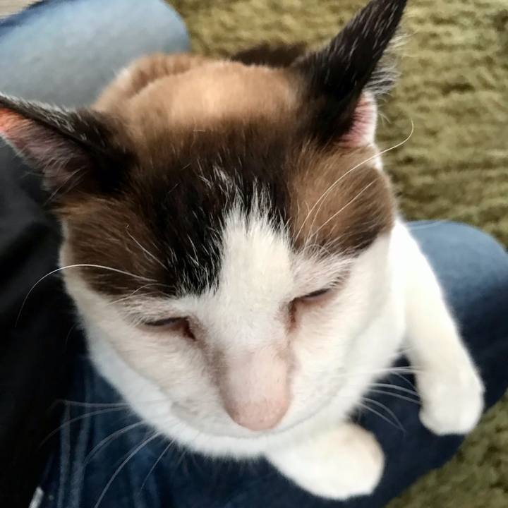 2d881e5e 9b15 4778 af58 8c32fd7a58f4 1623484768383