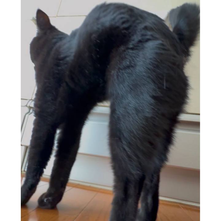 2d888eee 794e 4caa 84d1 898afa69e9cb 1765064683593