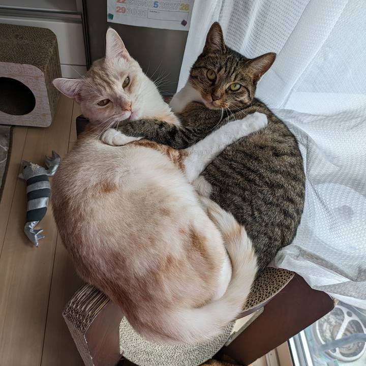 2d88b810 78c9 4c89 a161 815af00c7817 1696567335550