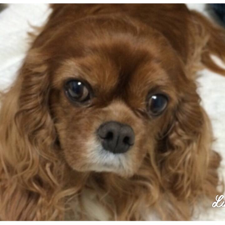 2d88d1f2 f99c 4872 bf99 8d3c56c4f9ea 1551068491404