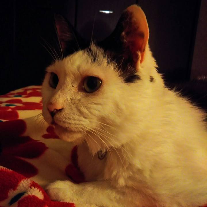 2d88ecf9 bae2 4dd2 a600 141fdff7f20f 1565593939542