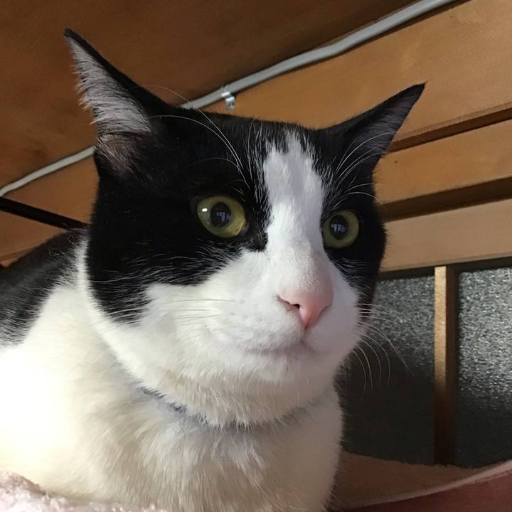 2d894e65 7f89 4ec6 85eb 1a8a1308b572 1645136306963