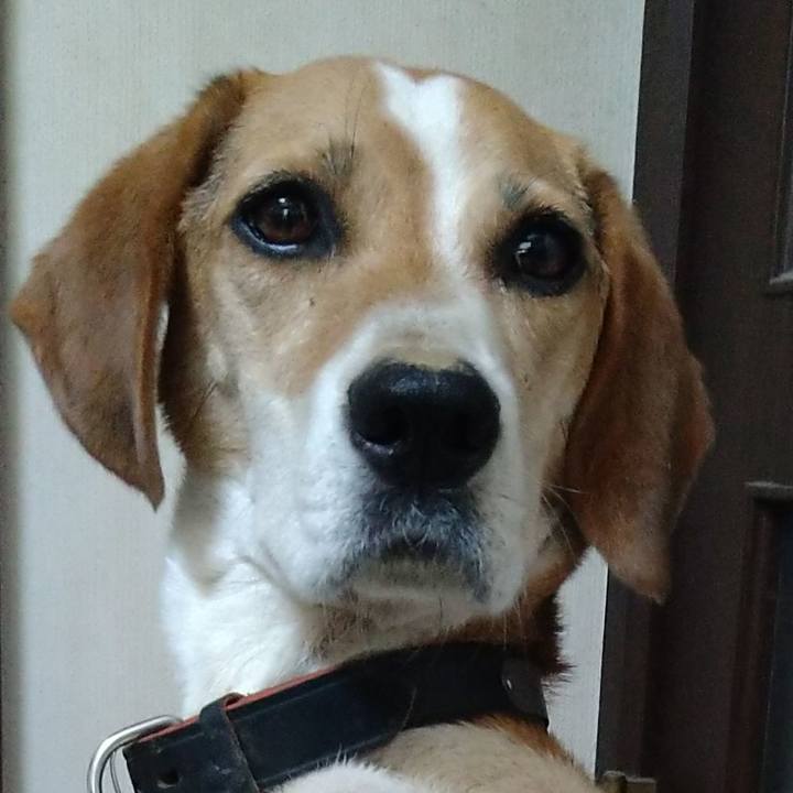 2d894f25 6e47 466c 8316 6f4f3fd25543 1660990449789