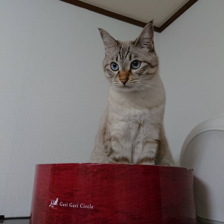 2d8959ba 03d4 4e76 ad66 3771aa2bb24b 1539694427843