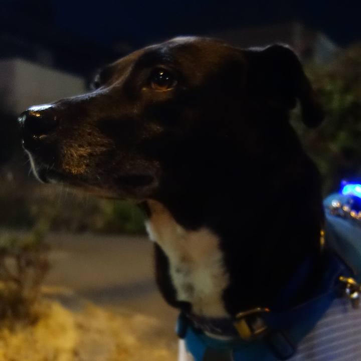 2d896391 dcfe 4cdf a0fb 751152b21a0e 1672312178354