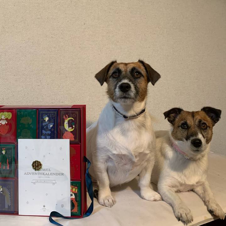 2d8966e3 6092 47d2 a50b e263320906b4 1575092619709