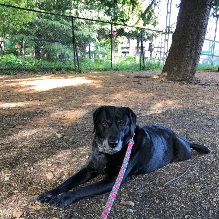 2d896a5c 2b58 4f10 ad05 479c3a68a298 1590271819214