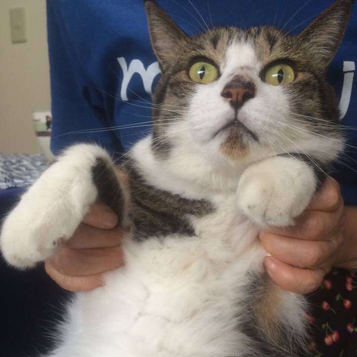 2d89d1a7 5141 40c0 80e1 129d4a1d90a7 1536040454680