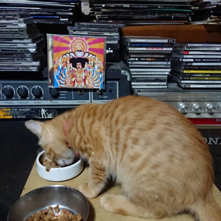 2d89e2ac 257c 44e6 890f 6ecc86216733 1632485788196