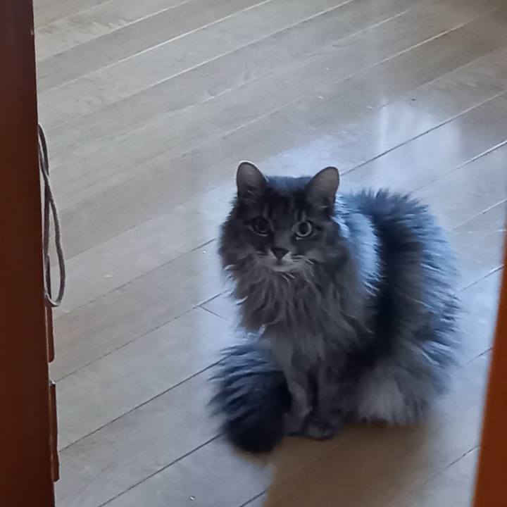 2d89edde 65ee 43b9 81d6 4223be6826b1 1623828634340