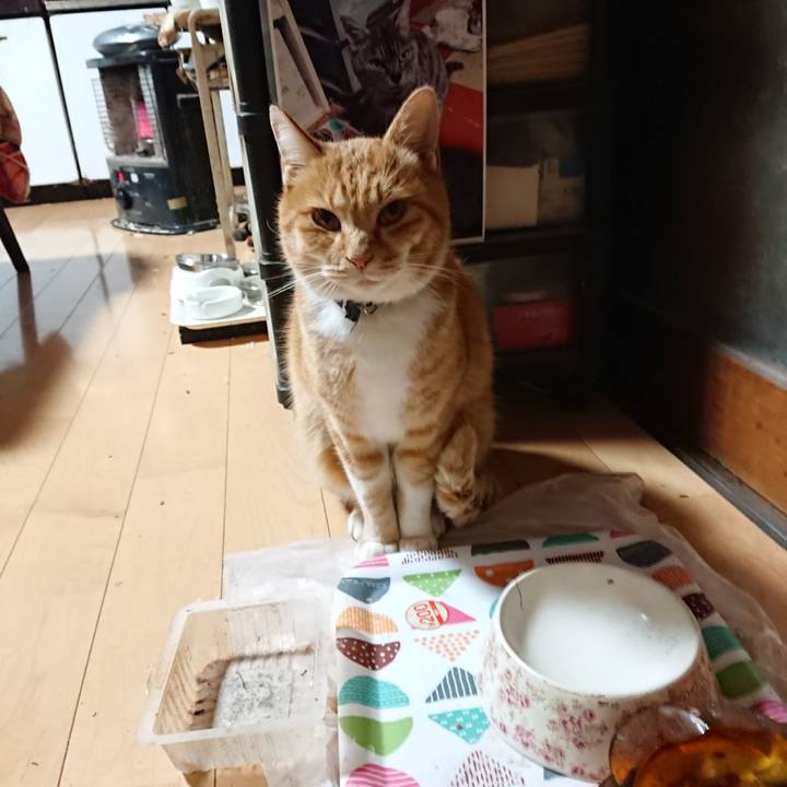 2d8a103b 2de2 4ae2 9bfc dc71ee731a4b 1605990344538