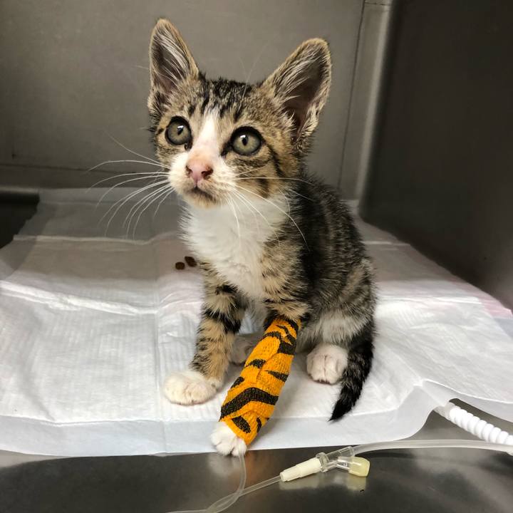 2d8a13de 75ee 491f b3b3 61ac9e3ffb0c 1560645234772