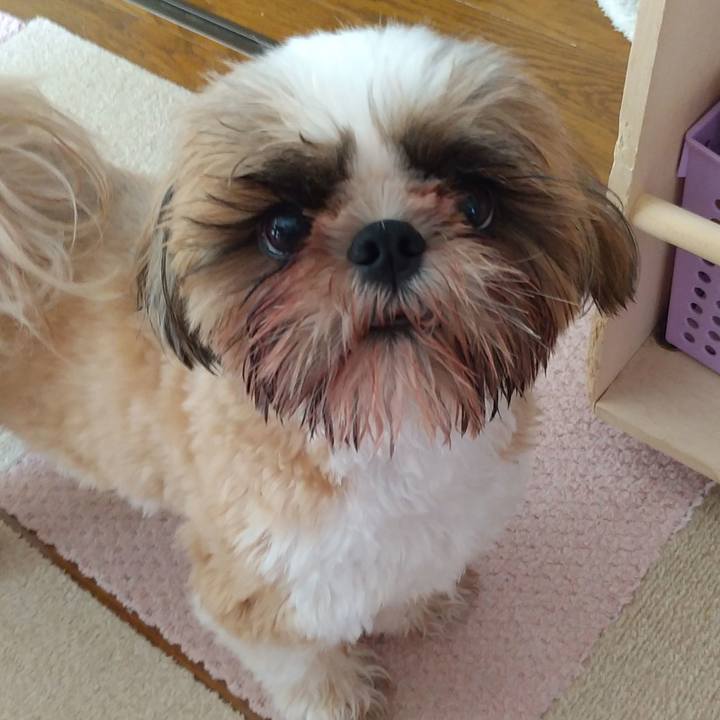 2d8a6d06 d165 4f87 b9e6 8c7afd3b5315 1596328300697