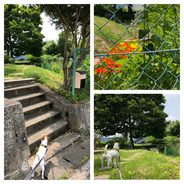 2d8a84f2 a511 4812 8ac7 5b435e09c924 1529923664487