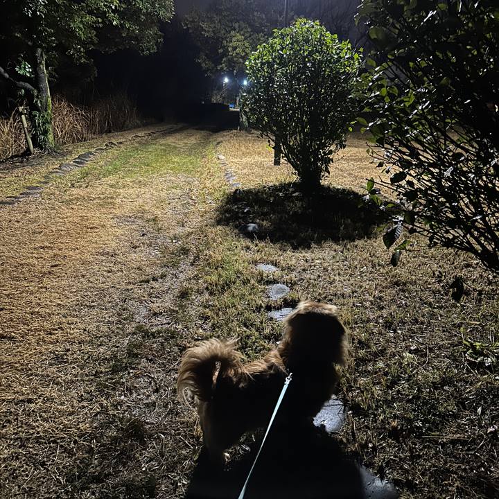 2d8a9867 b9ca 4531 88b6 f02a696fe147 1739396308753