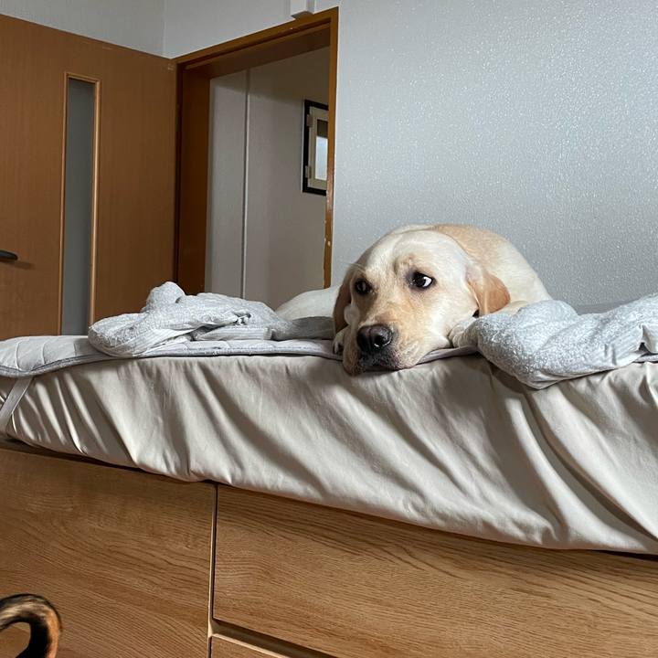 2d8abc1b 0812 4663 ba92 0d2cc04b67a1 1658363785745