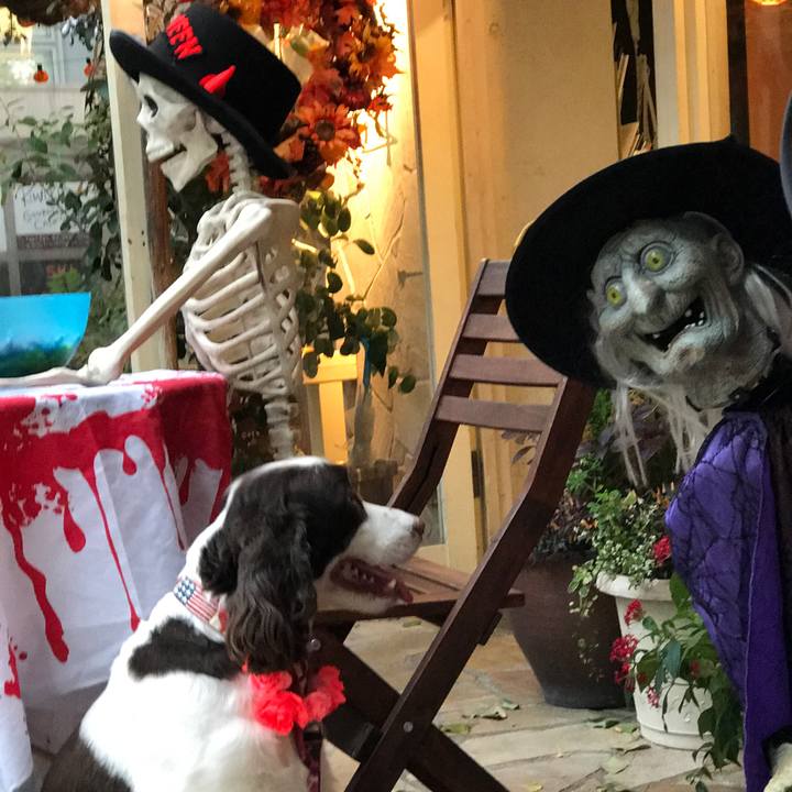 2d8ac02b 61a7 4ad1 8a44 529353019d0b 1509443770649