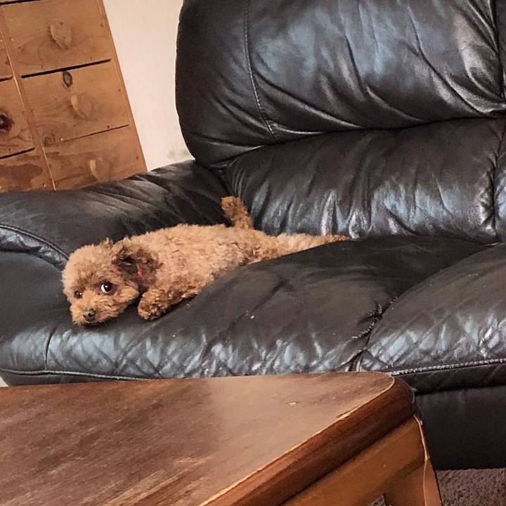 2d8ad4f6 5ef1 42dc bd20 f847f15dad9e 1557053128966