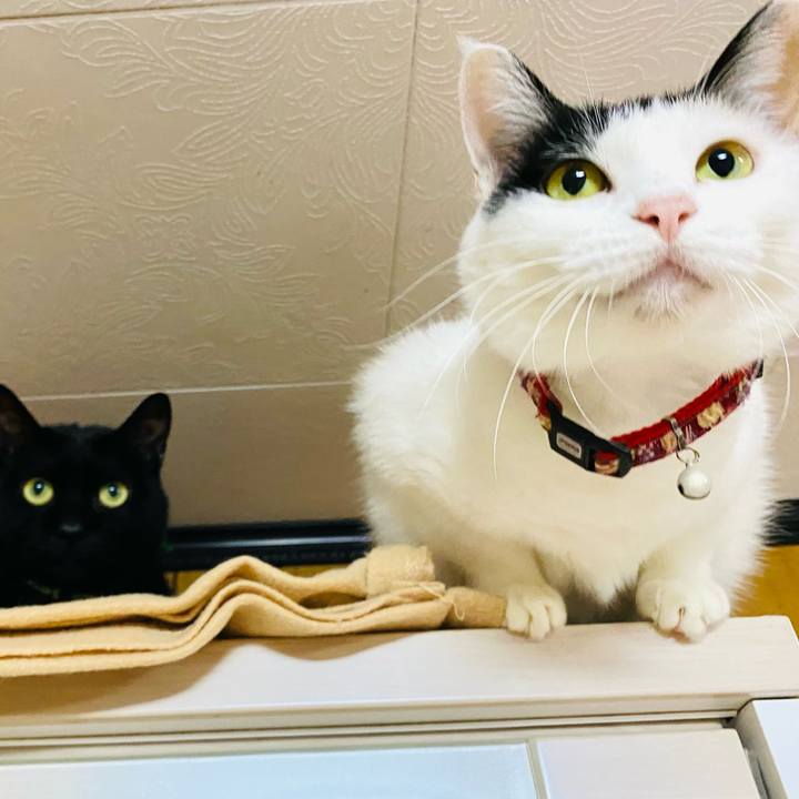 2d8ad5e2 ea07 47e9 8ad3 e24ddfbb59b8 1668775831721