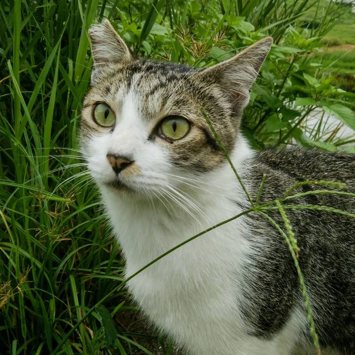 2d8add0c c6f4 4478 a1a3 6f309a5eb438 1537579571061