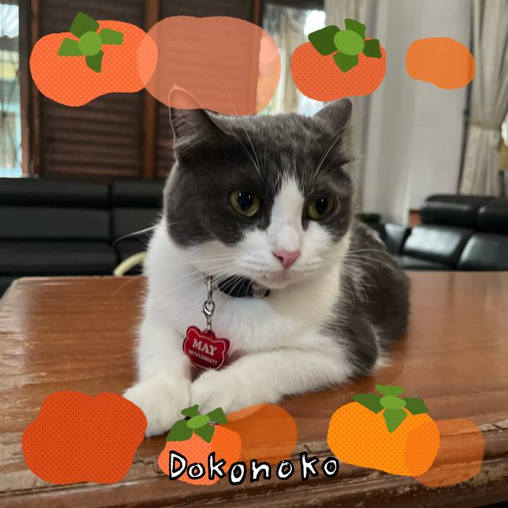 2d8ae7ee 2a3a 4f29 a93b 63f18b960a9c 1761297301415