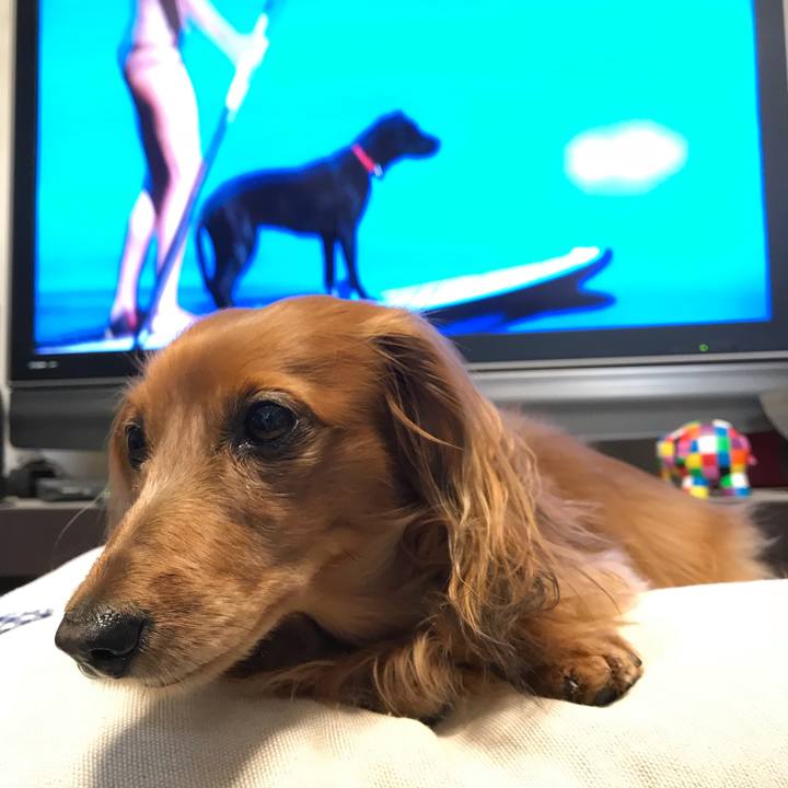 2d8b260c d252 4561 8661 9730595cb87e 1516706693557