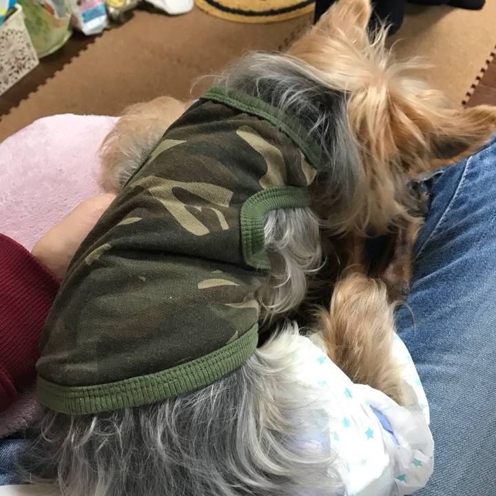 2d8b49f3 a34e 4bb7 b4a4 9784f09f7714 1522562615521