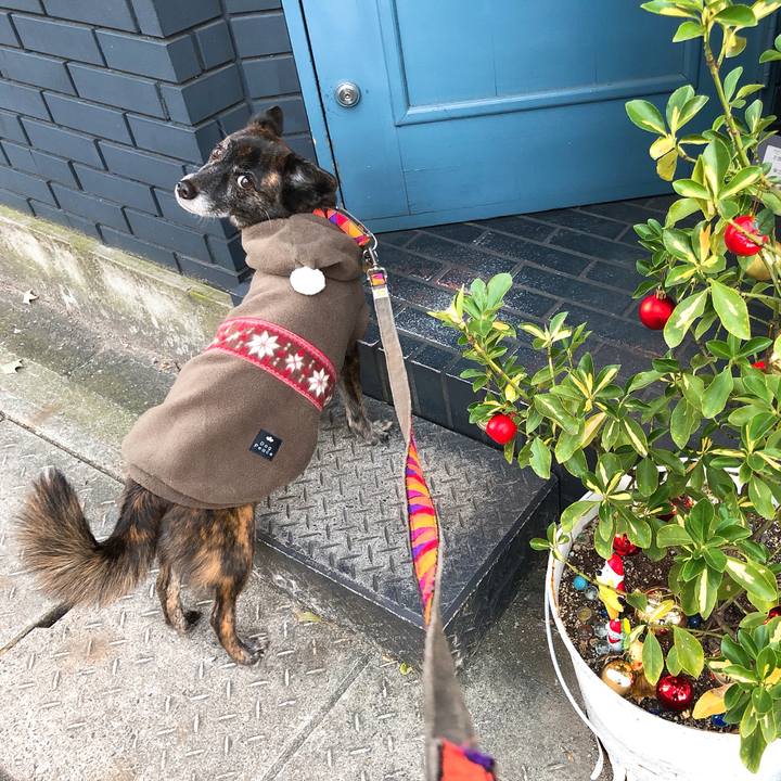 2d8b52ec e791 4ff6 aa7c 2a3ea32d077d 1575813780622