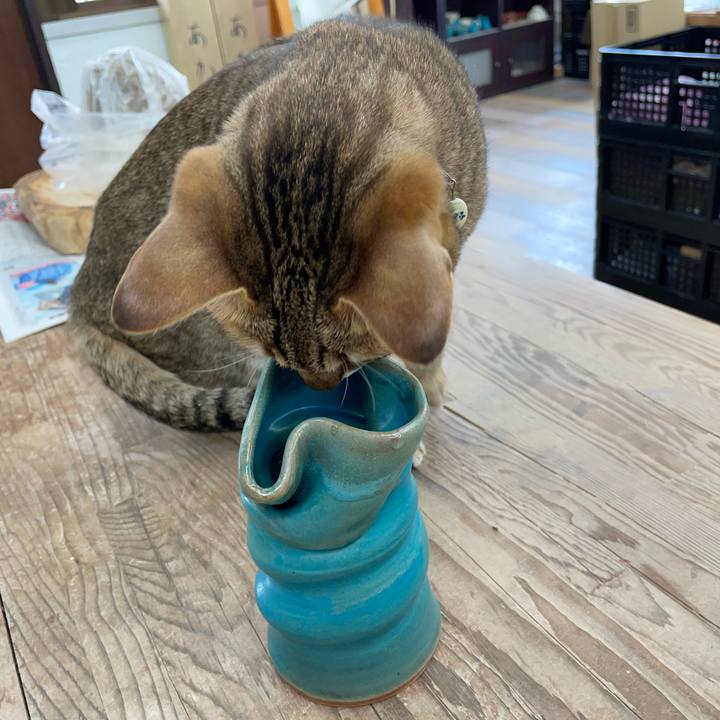 2d8b54ad d562 458d bc95 e75ce667fecd 1681721408830