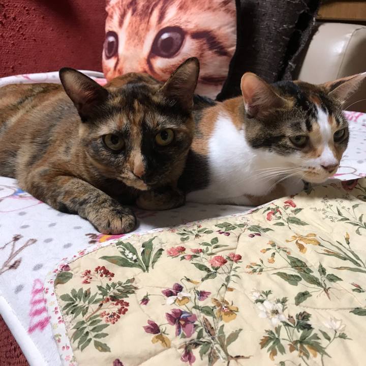 2d8b6fc0 17be 4683 bfa1 619c8c5699bb 1664455299418