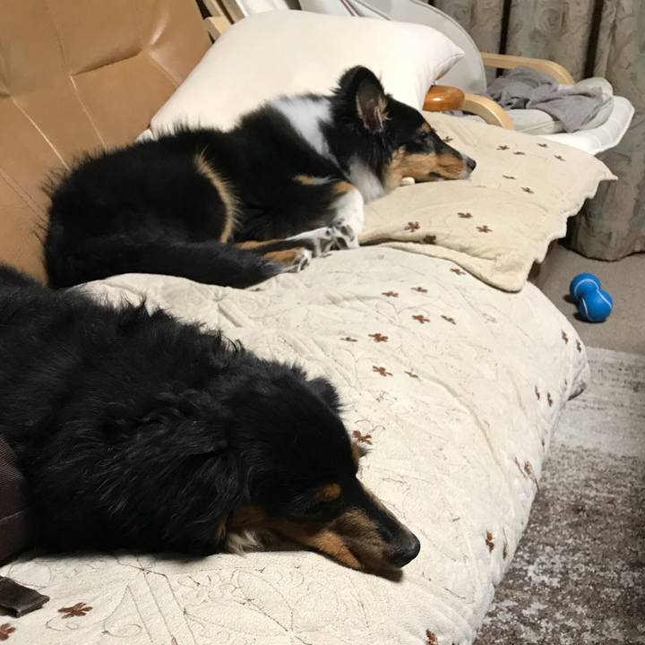 2d8b7754 eeb5 4327 a918 5cb6a839589c 1516540696162