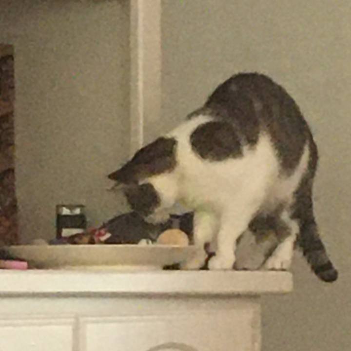 2d8b78da eaab 4ae1 ae2f 1e050056af9d 1662508814730