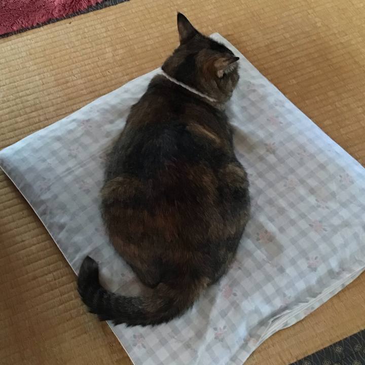 2d8b81c5 e1ba 44fe b8fb 75ce7e068611 1725670077968