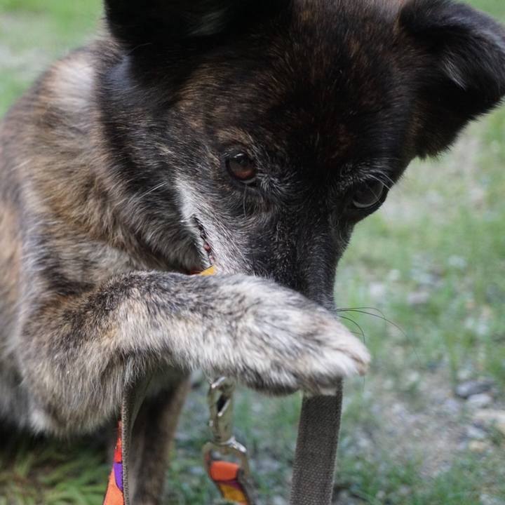 2d8b94a4 043f 4d00 aaf7 e3327e791e62 1601027743782