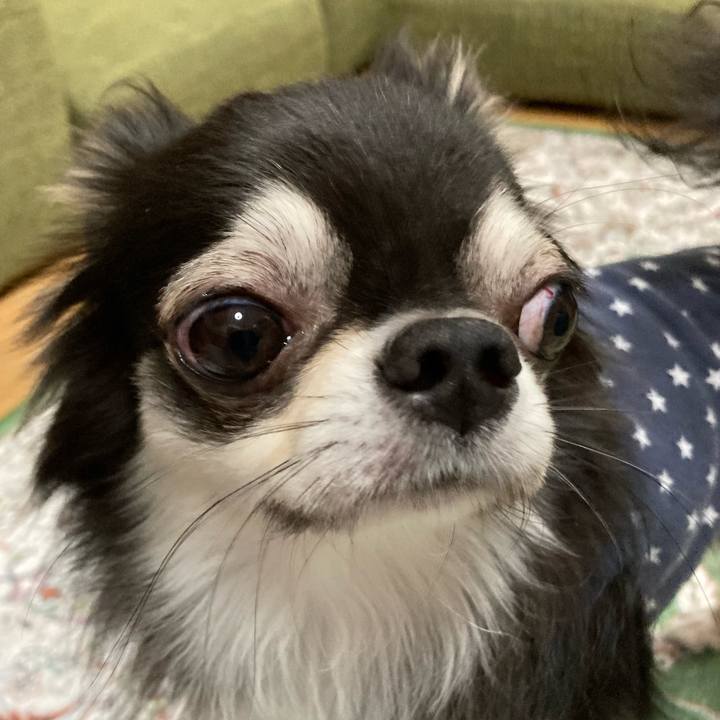 2d8bcbe2 dc25 4207 a5ff 7c8439fd5225 1665930987142