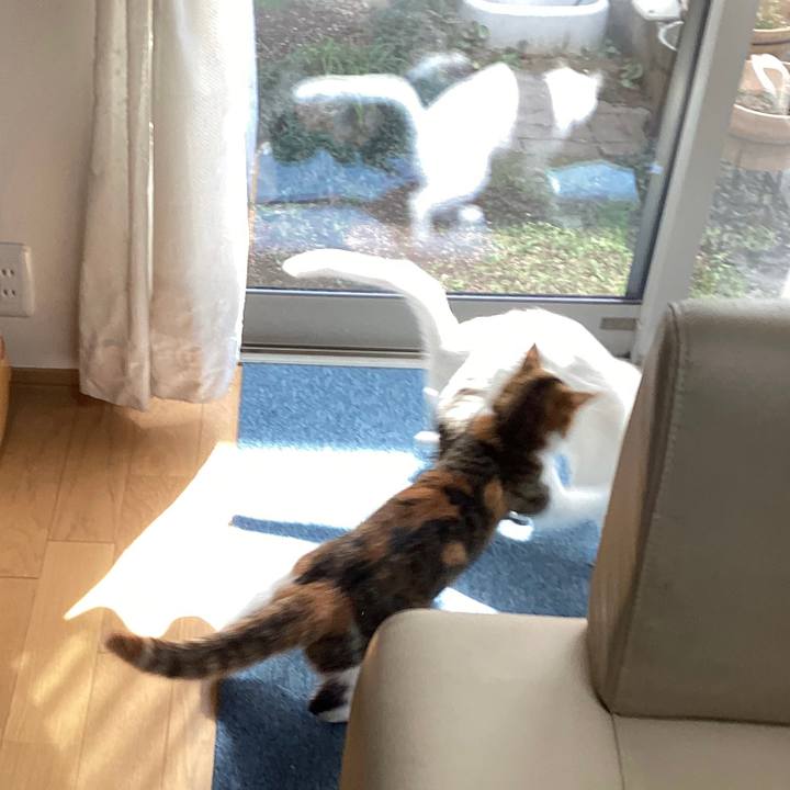 2d8c252f 1f13 4e87 80e9 3f3b336d27c1 1647833540207