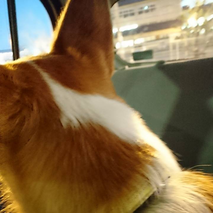 2d8c3252 d4cd 4e2d bfba 464715a38449 1575805035440