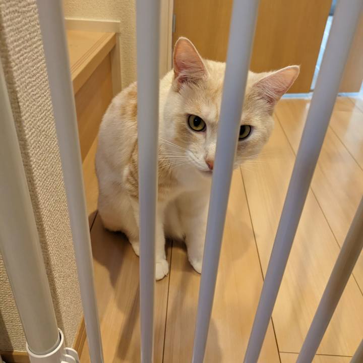 2d8c6504 4529 4635 a8ef d8b8fd66a591 1687564276215