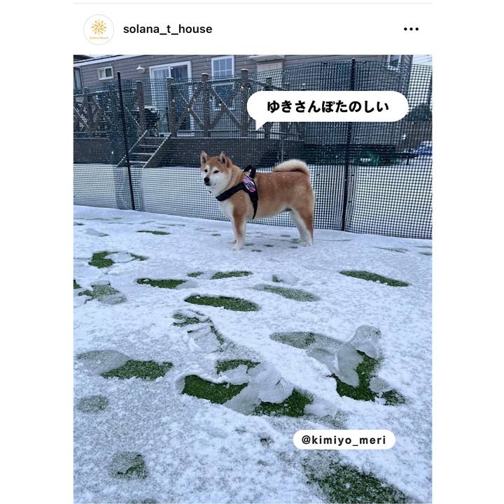 2d8c70bf b967 4ef7 8bb0 c3d9f0762209 1717976870754