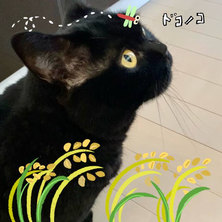 2d8c86a2 8189 4d85 afb4 d4a4ee51232e 1761209672554