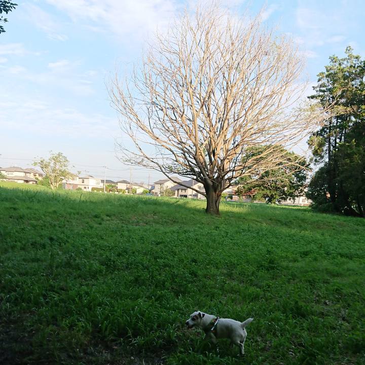 2d8ce371 87bb 48f2 a40d 23fa73b48c03 1529845125604