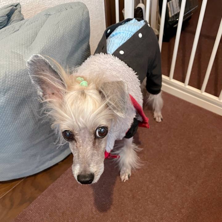 2d8d3275 dcbe 44b0 8020 4fcbfcd43636 1772697673918