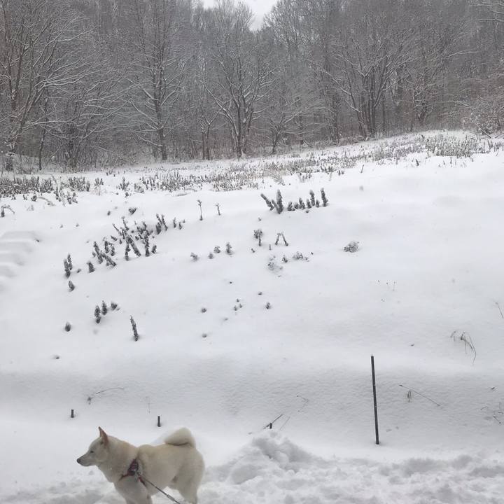 2d8d4b84 26a8 4c4d b029 aa4429053b70 1544183377836