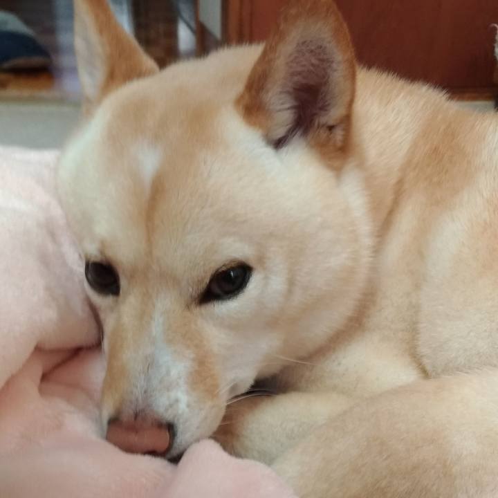 2d8d4cc1 16fb 464c b215 91baf6211551 1553408898217